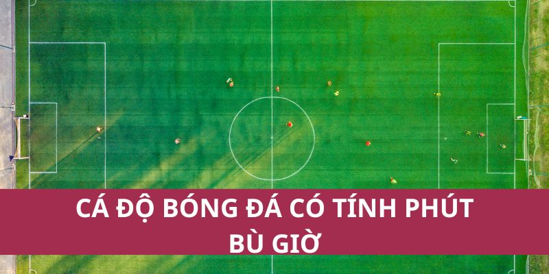 Cá Độ Bóng Đá Có Tính Phút Bù Giờ Giải Thích Chi Tiết 1 Cá Độ Bóng Đá Có Tính Phút Bù Giờ Giải Thích Chi Tiết