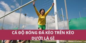 Hướng Dẫn Cá Độ Bóng Đá Kèo Trên Kèo Dưới Là Gì Dễ Hiểu