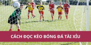 Cách Đọc Kèo Bóng Đá Tài Xỉu Chi Tiết Dễ Hiểu Năm 2025 