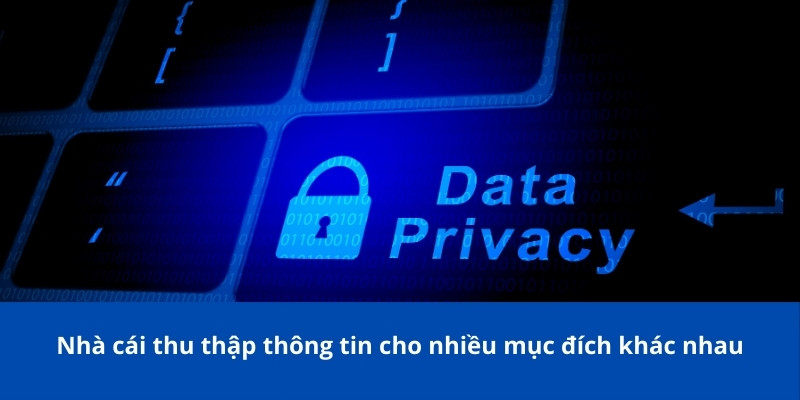Chính sách bảo mật Bongdalu: Độ bảo mật đặt lên hàng đầu 2 Nhà cái thu thập thông tin cho nhiều mục đích khác nhau