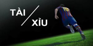 kèo tài xỉu 2 1/4 là gì