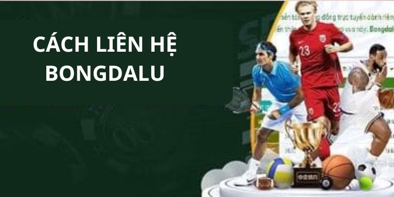 Phương thức liên hệ Bongdalu - Kết nối dễ dàng, nhanh chóng 2 Lưu ý quan trọng cho người mới